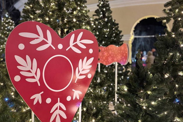 Фото экскурсии - Рязань в новогоднем убранстве: знакомство со столицей праздника 2026 - 12