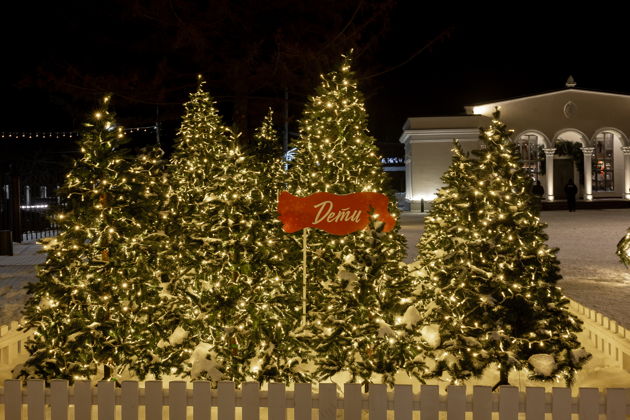 Фото экскурсии - Рязань в новогоднем убранстве: знакомство со столицей праздника 2026 - 5