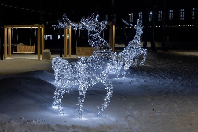 Фото экскурсии - Рязань в новогоднем убранстве: знакомство со столицей праздника 2026 - 7