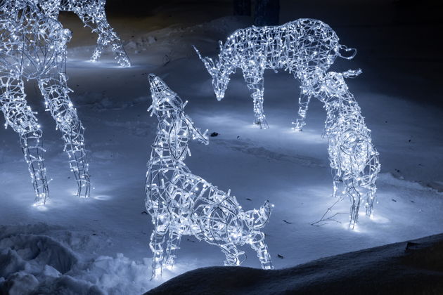 Фото экскурсии - Рязань в новогоднем убранстве: знакомство со столицей праздника 2026 - 8