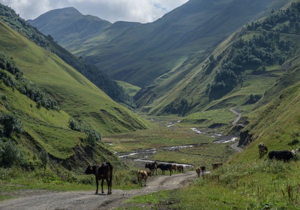 Казбек и Гергетская церковь: индивидуальное путешествие на 1 день - фото 3