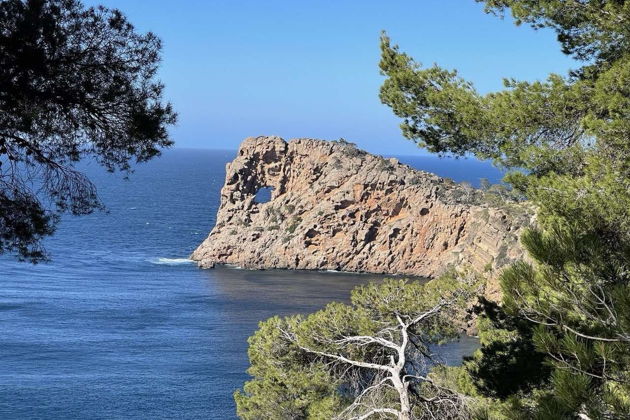 Фото экскурсии - Очаровательная прогулка по Вальдемоссе - 4