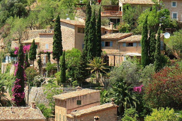 Фото экскурсии - Очаровательная прогулка по Вальдемоссе - 6