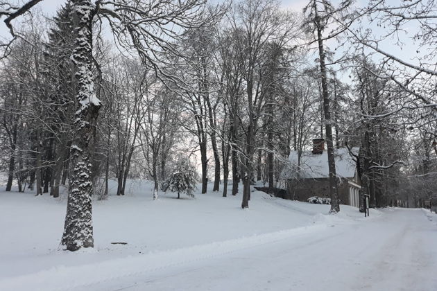 Фото экскурсии - Отправляемся в Сигулду и Турайду к замкам Видземе - 6