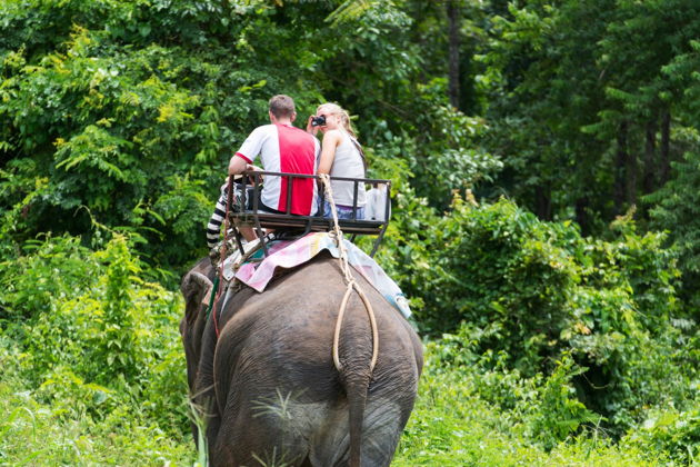 Фото экскурсии - Экстремальное путешествие по тропическим лесам Таиланда - 1