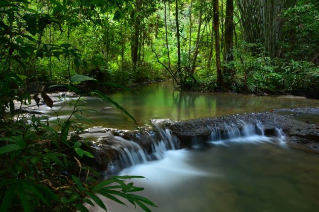 Фото экскурсии - Экстремальное путешествие по тропическим лесам Таиланда - 10