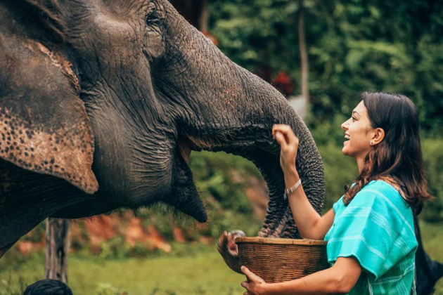 Фото экскурсии - Экстремальное путешествие по тропическим лесам Таиланда - 15