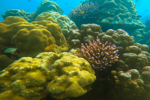 Фото экскурсии - Острова Пхи-Пхи и Майтон: лагуна Пиле, пляж Майя Бэй и вечерний круиз на катамаране - 10