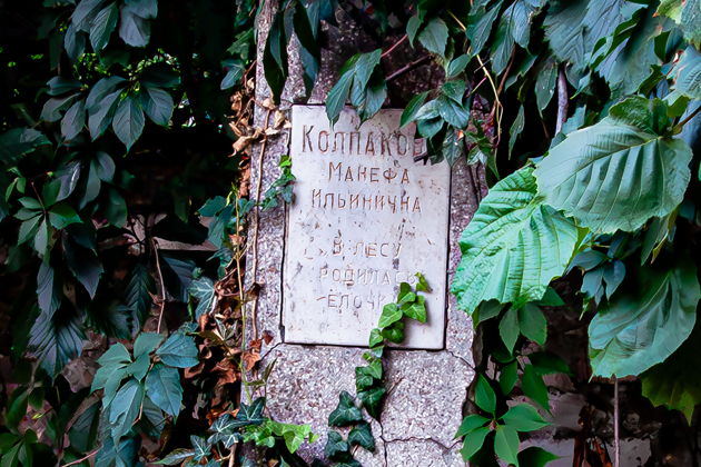 Фото экскурсии - Археология памяти на Всесвятском кладбище Краснодара - 10