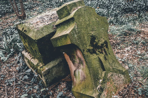 Фото экскурсии - Археология памяти на Всесвятском кладбище Краснодара - 5