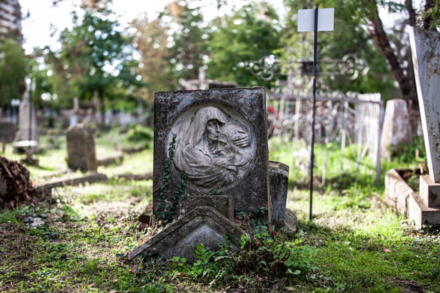 Фото - экскурсия: Археология памяти на Всесвятском кладбище Краснодара