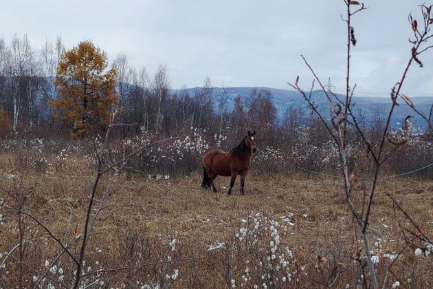 Фото экскурсии - Поездка в Слюдянку на южный берег Байкала - 14