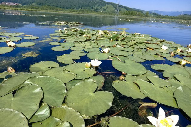Фото экскурсии - Поездка в Слюдянку на южный берег Байкала - 4