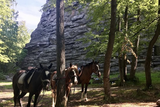 Фото - экскурсия: Конный маршрут к скальному массиву Семь Братьев