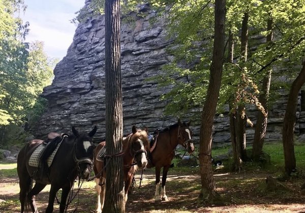 Конный поход на скалы 7 братьев