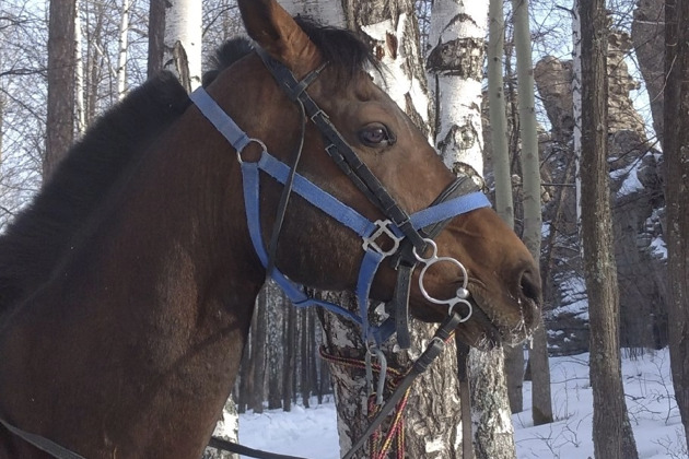 Фото экскурсии - Конный маршрут к скальному массиву Семь Братьев