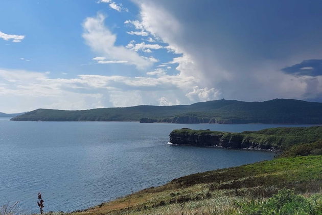 Фото экскурсии - Владивосток и Мыс Тобизина: путешествие по Тихоокеанской ривьере - 14