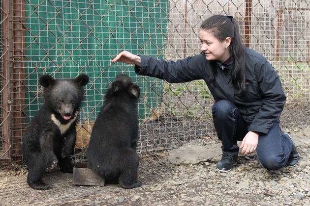 Фото экскурсии - Сафари-парк и три знаменитые бухты Владивостока дикая природа и морские легенды - 5