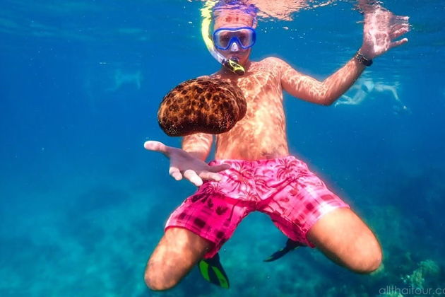 Фото экскурсии - Погружение в Сиамский залив - увлекательное приключение для каждого - 5