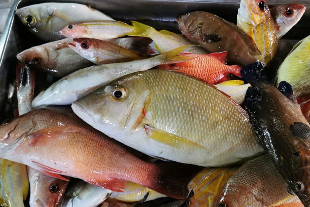 Фото экскурсии - Рыбалка на Андаманском море с трофеями, морскими приключениями и закатом - 10