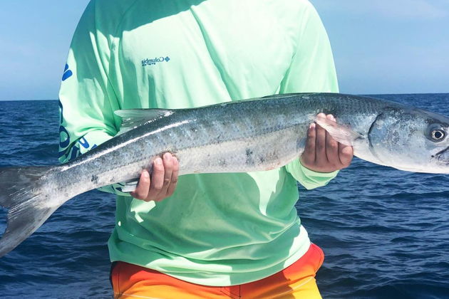 Фото экскурсии - Рыбалка на Андаманском море с трофеями, морскими приключениями и закатом - 11