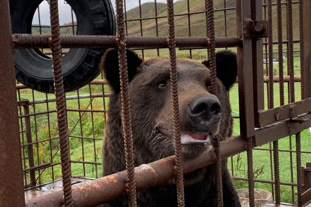 Фото экскурсии - Пятидневное путешествие по южным мысам Сахалина - 5