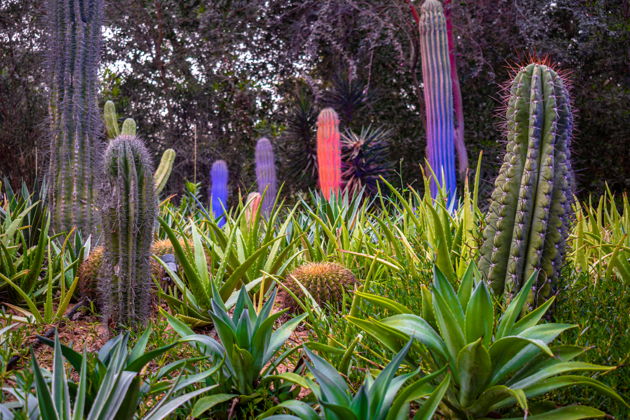 Фото экскурсии - Билет для посещения острова Аль-Нур и Дома бабочек - 3