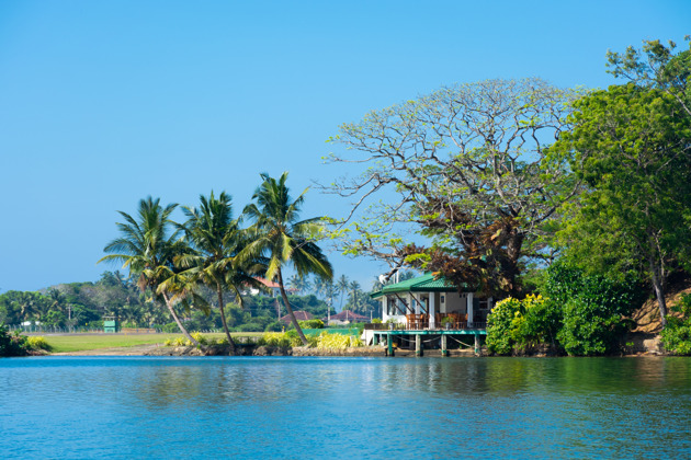 Фото - экскурсия: Прогулка на лодке по озеру Коггала и посещение Острова корицы