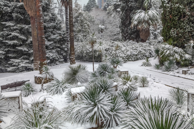 Фото - экскурсия: Познакомьтесь с Сочи на обзорной прогулке