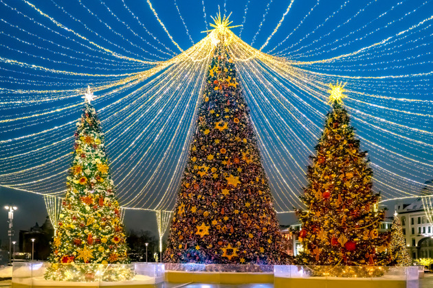 Фото - экскурсия: Прогулка по главным новогодним елкам в центре Москвы