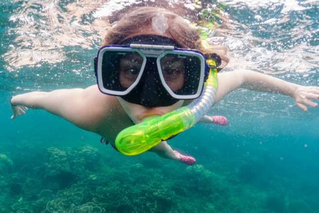 Фото - экскурсия: Погружение в подводный мир и дикую природу Национального парка Пиджен-Айленд