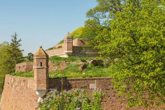 Фото экскурсии - Пешая прогулка по Белграду - 5