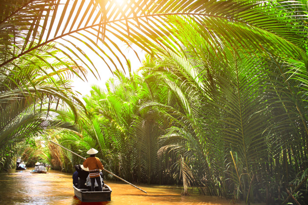 Фото - экскурсия: Туннели Кути и дельта Меконга: путешествие сквозь историю, природу и кокосовые рощи