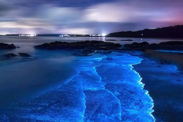 Фото - экскурсия: Волшебство светящегося планктона, Самет Нангше, остров Джеймса Бонда и спа-отдых