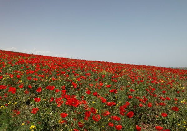 Небесный след и горные объятия - фото 4