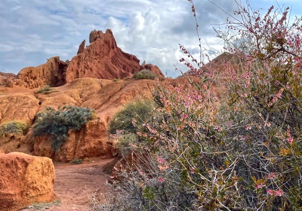 Каньон Сказка и южный берег Иссык-Куля - фото 3