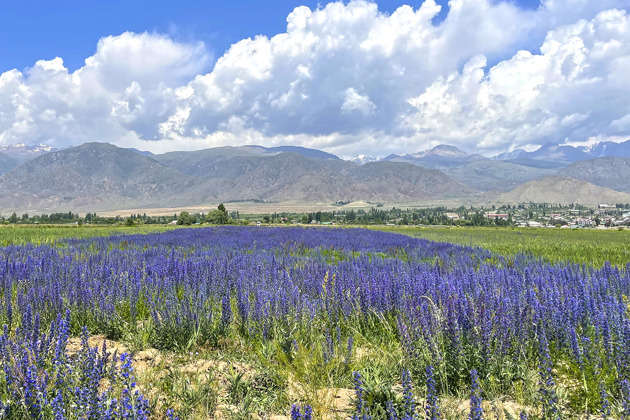 Фото - экскурсия: Путешествие к озеру Иссык-Куль и каньонам Конорчек