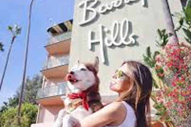 Фото - экскурсия: Фотопрогулка по Лос-Анджелесу с уникальными кадрами