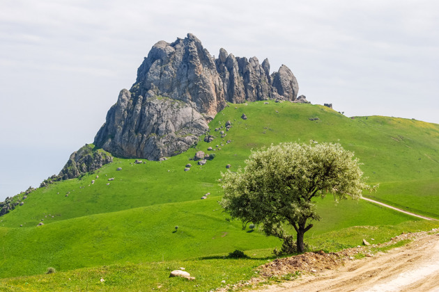 Фото - экскурсия: Путешествие по вершинам и каньонам Азербайджана от Хызы до Хыналыга