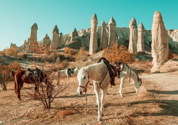 Конная прогулка по Чавушину и долинам Мечей, Любви и Розовой - фото 1
