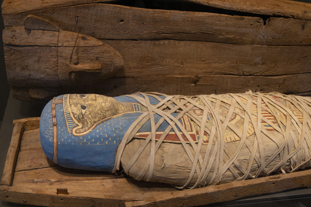 Фото - экскурсия: От музейных реликвий к загадкам пирамид: путешествие в Древний Египет