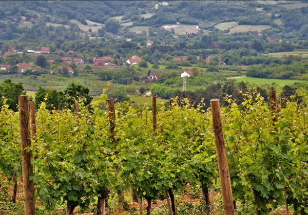 Гостеприимная Сербия. Наследие королевской династии Караджорджевич - фото 2