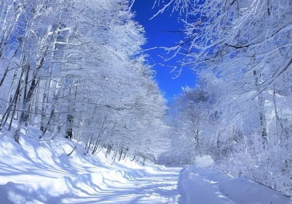 Вера, природа и легенды Грузии: Самеба, Сабадури, Хроники - фото 3