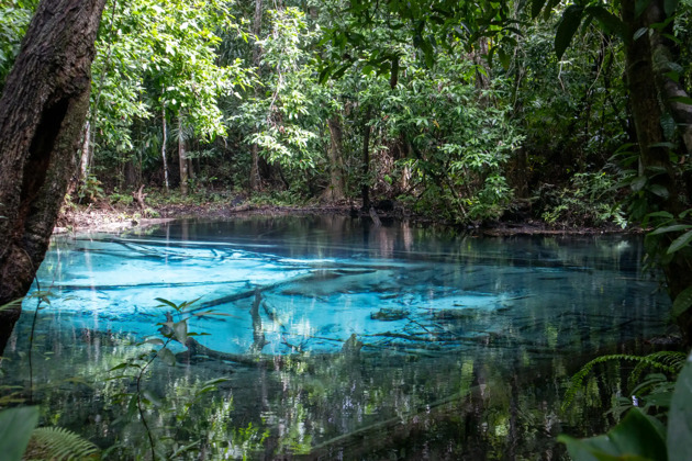 Фото - экскурсия: Сокровенные уголки Краби: джунгли, гроты и целебные ключи