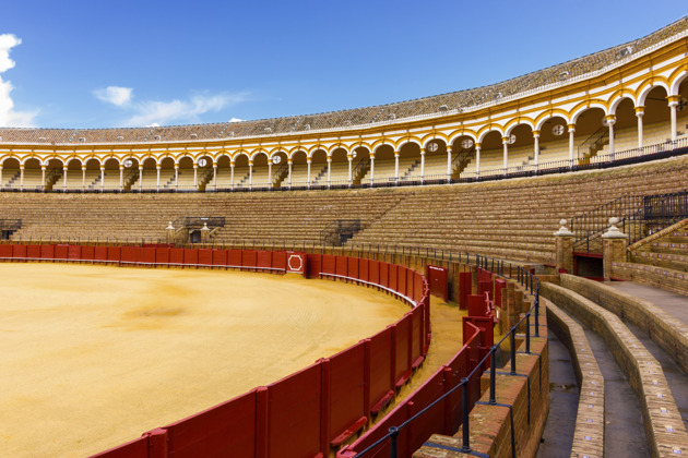 Фото - экскурсия: Арена для корриды Реаль Маэстранса и музей боя быков