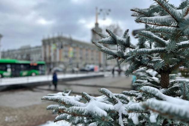 Новогодний Екатеринбург