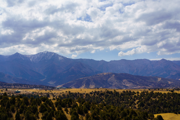 Фото - экскурсия: Поездка в Зааминский национальный парк из Самарканда в узбекскую Швейцарию