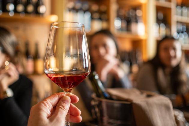 Фото - экскурсия: Винодельня «Вилла София» приглашает на прогулку по виноградникам с дегустацией