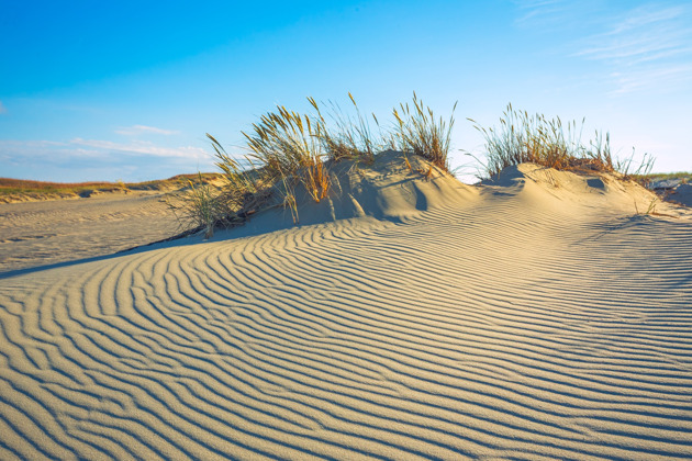 Фото - экскурсия: Экскурсия по Куршской косе, Зеленоградску и замку Нессельбек в малой группе