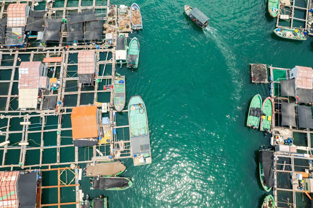Фото - экскурсия: Открываем восточное побережье Санья с его плавучими деревнями пляжами и магазинами